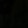 Terry Shultz - @terryshultz534 - TikTok