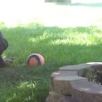 Terry Siebert - @siebert.terry - Instagram