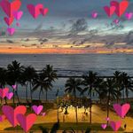 Terry Addy Sikora - @terryaddysikora - Instagram