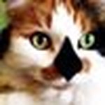 Terry Silverman - @terrysilverman__ - Instagram