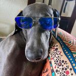 Terry Halford Singletary - @singletary.terry - Instagram