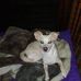 Terry Sinton - Facebook