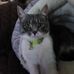 Terry Sipe - Facebook