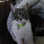 Terry Sipe - @sipeterry - Instagram