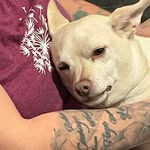 Terry Sipe - @terrysipe - Instagram