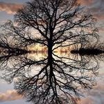 Terry Sipes - @sniper6059 - Instagram