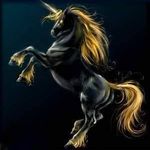 Terry Sipes - @terry.sipes.391 - Instagram