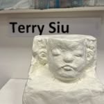 Terry Siu - @terrysiuart - Instagram