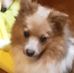 Terry Slavin - Facebook