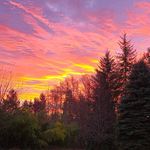Terri Slocum Stierwalt - @terri_stierwalt - Instagram