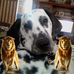 Terry Slone - Facebook