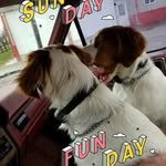 Terry Slone - @terrywslone - Instagram