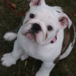 Terry Small - @terry.small1956 - Instagram