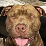 Terry Smart - @terrysmart9 - Instagram