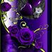 Terri Smiley - Facebook