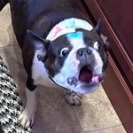 Terry Snarey - @terrysnarey - Instagram