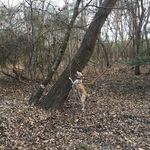 Terry Sneed - @sneed5357 - Instagram