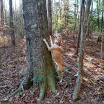Terry Sneed - @shobudpro.sneed135 - Instagram
