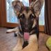 Terry Snelling - Facebook