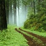 Terry Snelling - @terrysnelling - Instagram