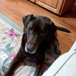 Terry Snider - @theresajeansnider - Instagram