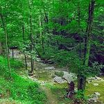 Terry Snider - @terry.snider.984 - Instagram