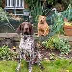 Terry Snowden - @terry.snowden1 - Instagram