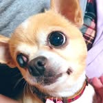テリー - @terry_socks - Instagram