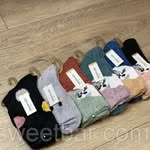 @terry_socks___sokal - Instagram