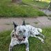 Terry Solberg - Facebook