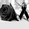 terrysolis958 - @terrysolis958 - TikTok
