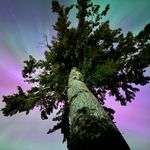 Terry Somerville - @tsomervilles - Instagram