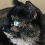 Terry Soper - @terrydennissoper - Instagram