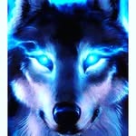 Terry Henrique Dias de Souza - @lobo_master_101 - Instagram