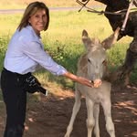 Terry Spitzer Burns - @terryb925 - Instagram