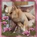 Terry Sprouse - Facebook