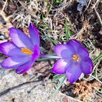 Terri Stallard Gawrych - @terristallardgawrych - Instagram