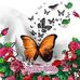 Theresa Stallard - Facebook