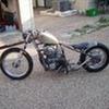 terry stauffer691 - @terrystauffer691 - TikTok