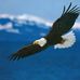 Terry Stefanski - Facebook