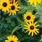 Terry Steffey - @terrysteffey - Instagram