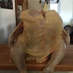 Terry stern - @terrynlynns - Instagram