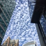 Terry Stern - @gonif69 - Instagram