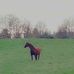 Terrance Sterner - Facebook