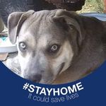 Terry Strickland - @terry.strickland.980 - Instagram