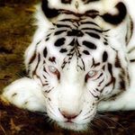 Terry Sturm - @terrysturm1 - Instagram