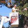 terrysturman - @terrysturman - TikTok