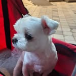 임수연 - @terry_suki - Instagram