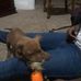Terrance Suber - Facebook