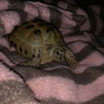 Terry Sumner - @terrysumner15 - Instagram